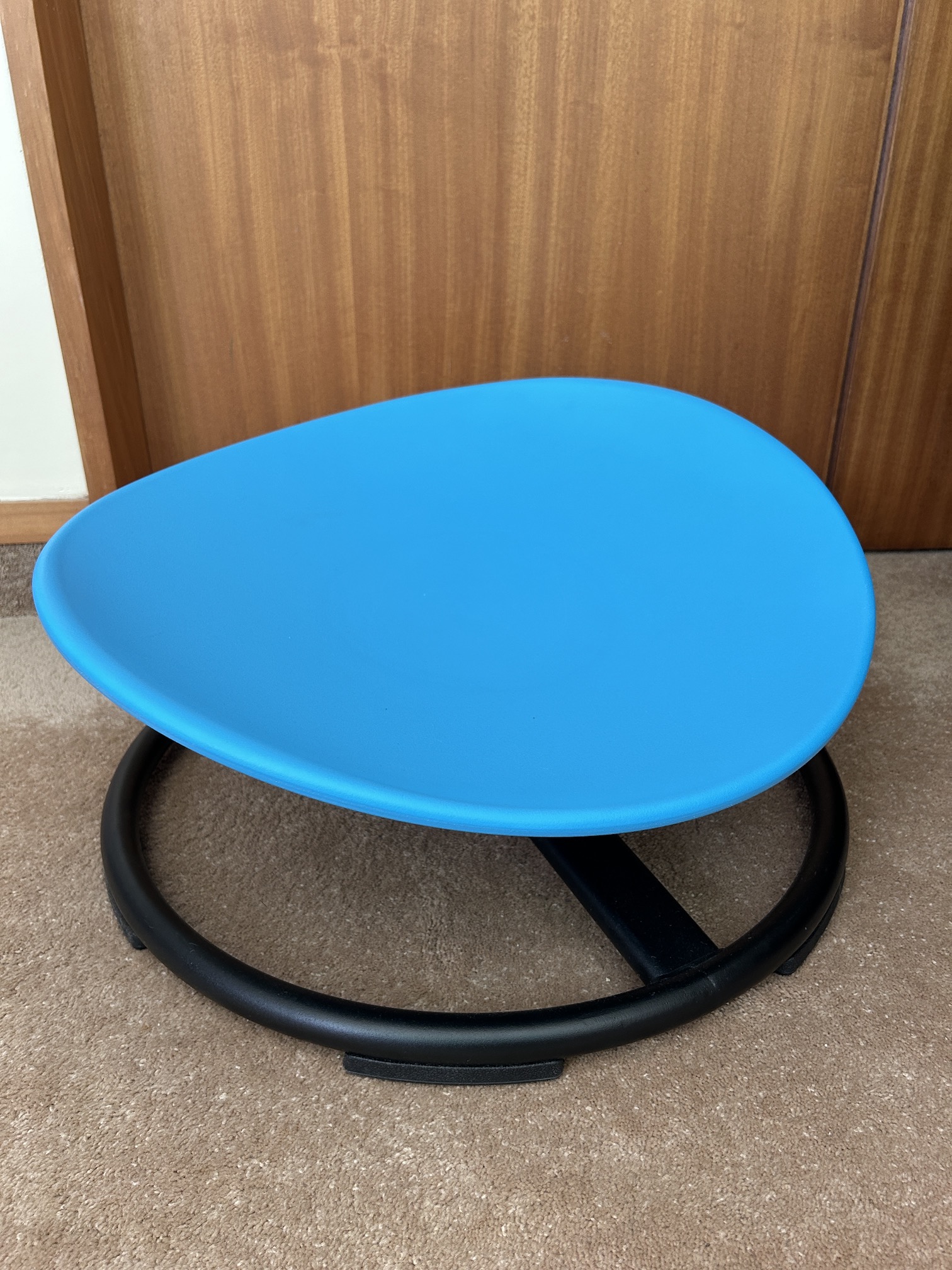 Vestibular Spin Seat